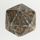 Image for article titled Is this the oldest d20 on Earth?